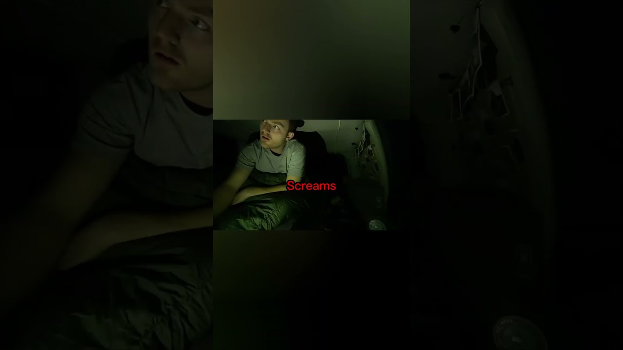 Horrifying Screams In Woods Scary Nature