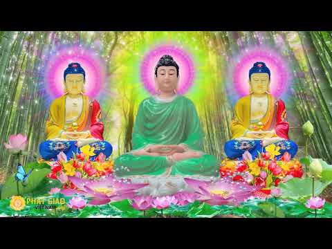 Kinh Vô Lượng Thọ – thầy Thích Trí Thoát (Không quảng cáo) #Moi Kinh Vô Lượng Thọ – thầy Thích Trí Thoát (Không quảng cáo) #Moi