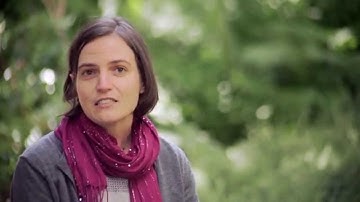 WHO: Controlled Temperature Chain (CTC) – Delivering vaccines more easily.