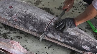 Asian Fish cutting - Marlin fish cutting skill