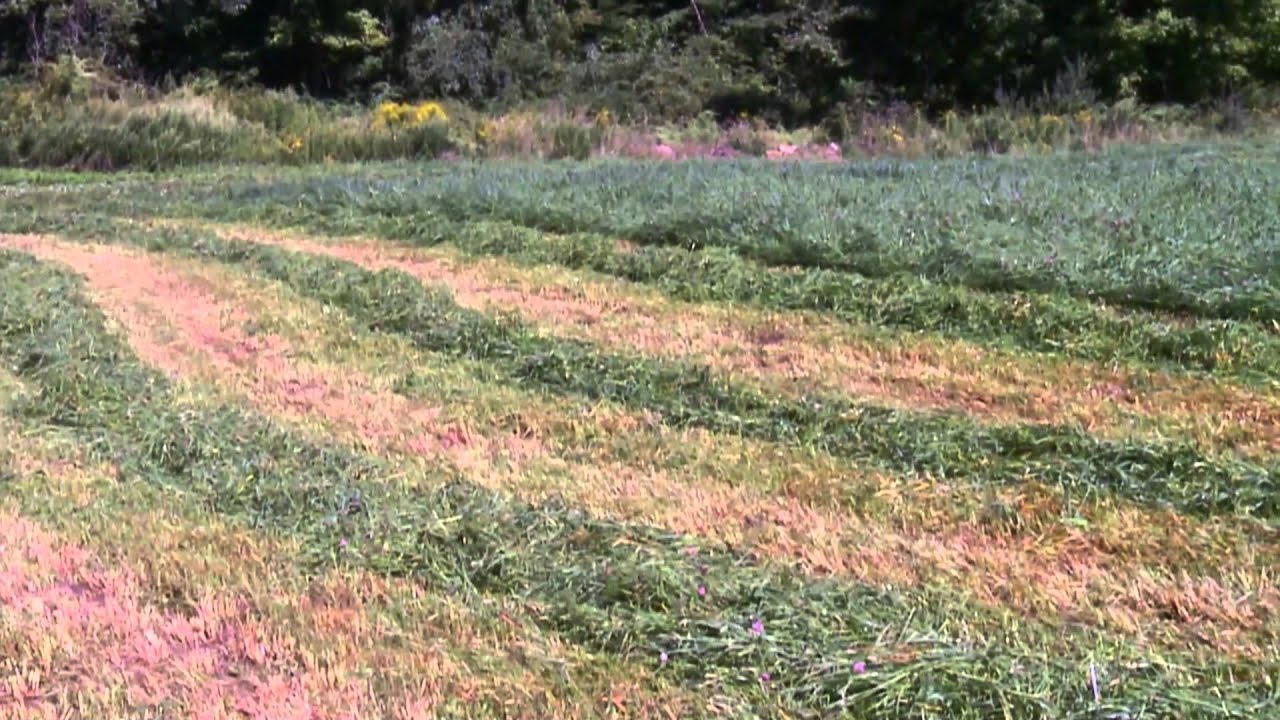 How We Make Hay At The Farm Woodbury Ct Youtube