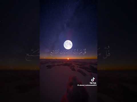 ٥ أبريل ٢٠٢٥