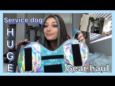 huge-service-dog-gear-haul!