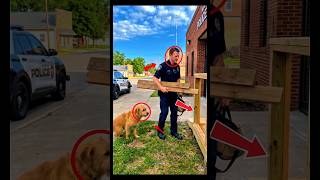 One Officer's Act Of Kindness Changed Everything For This Hungry Dog #shorts #rescue #heartwarming