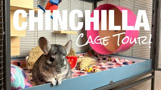 What’s Inside Nina’s Cage? 👀 CHINCHILLA Cage Tour!