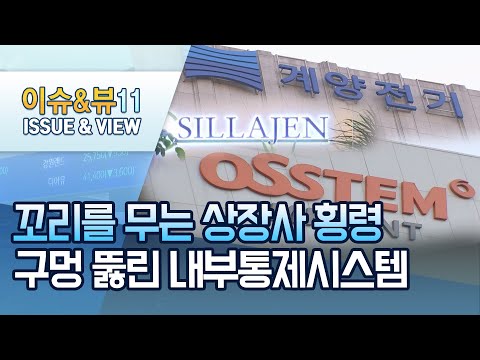 [<strong>이슈추적</strong>] 코리아 디스카운트 자초하는 상장사들... 구멍 뚫린 내부통제시스템  / 머니투데이방송 (뉴스)