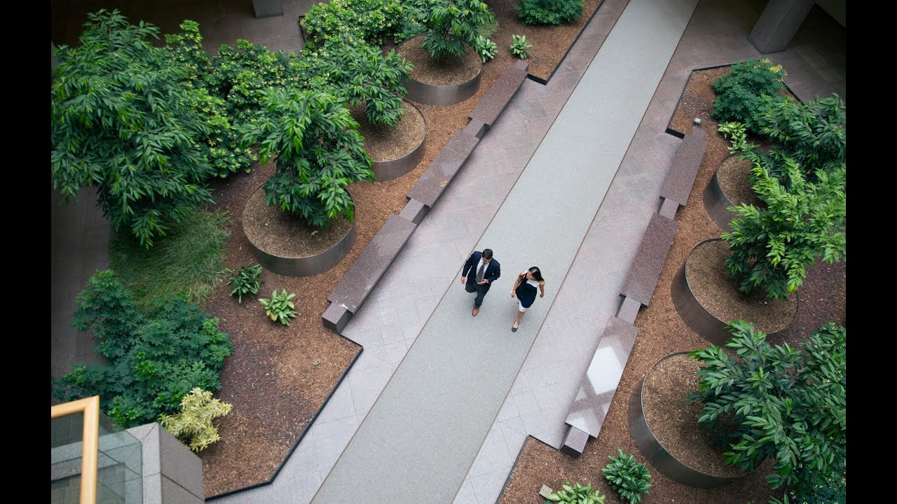 Career connected: Externships, internships, and more