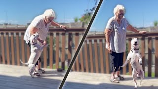 Dog Dances For Grandma