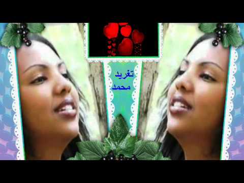 عثمان حسين انت عارف انا بحبك تغريد محمد