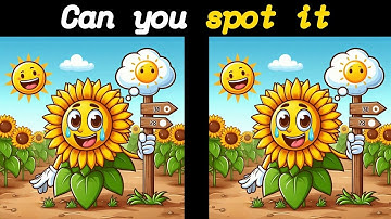 Can you find 3 differences in 60 seconds? [Spot the difference game]