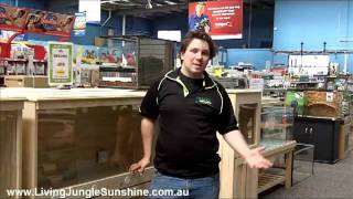 Reptile Enclosure Advice Living Jungle Pet Store Melbourne