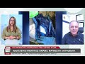 Πως μπαίνουν παράνομες ουσίες στην κυπριακή αγορά; | AlphaNews Live