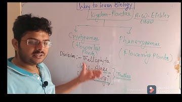 Classification by A.W. Eichler