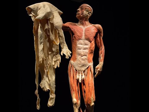 Vídeo: O que é dissecação humana?
