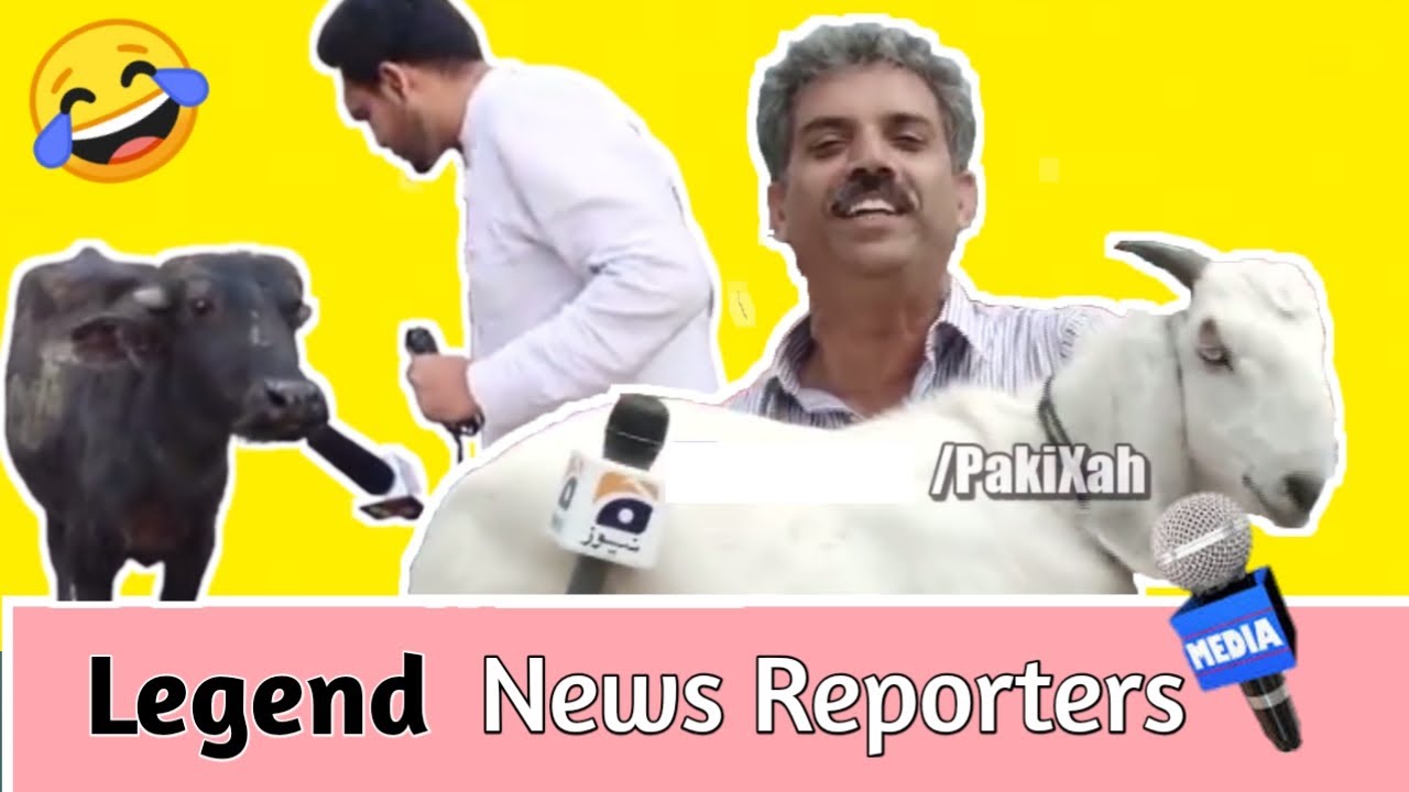 Funniest News Reporting Fails Ever...
