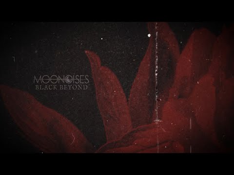 Moonoises - Black Beyond (Music visualizer)