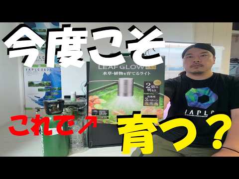 泡の出が違う！大型水槽に威力を発揮。大好評！フィッシュレット大改造 What Will Happen?] Giving Cuba Pearl Grass in a Daiso Tank Another