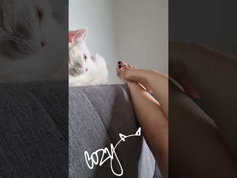 #asmr #shorts #pedicure #barefoot #legs #toes #sole