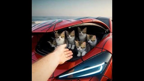 Spiderman Cats love their hiding places, let