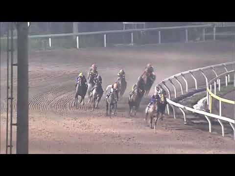 2015/06/17 第18回京成盃グランドマイラーズ ソルテ
