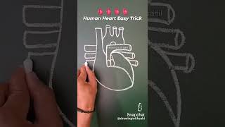 Human Heart Diagram Easy Trick