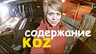 Cодержание коз. Женский взгляд. Cодержание коз. Женский взгляд.