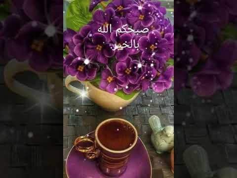 صباح الخير احبابنا