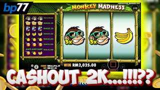 🎰🐵 Venture into the Heart of Jungle Riches with Monkey Madness Slot Only at BP77 Online Casino! 🐵🎰 screenshot 2