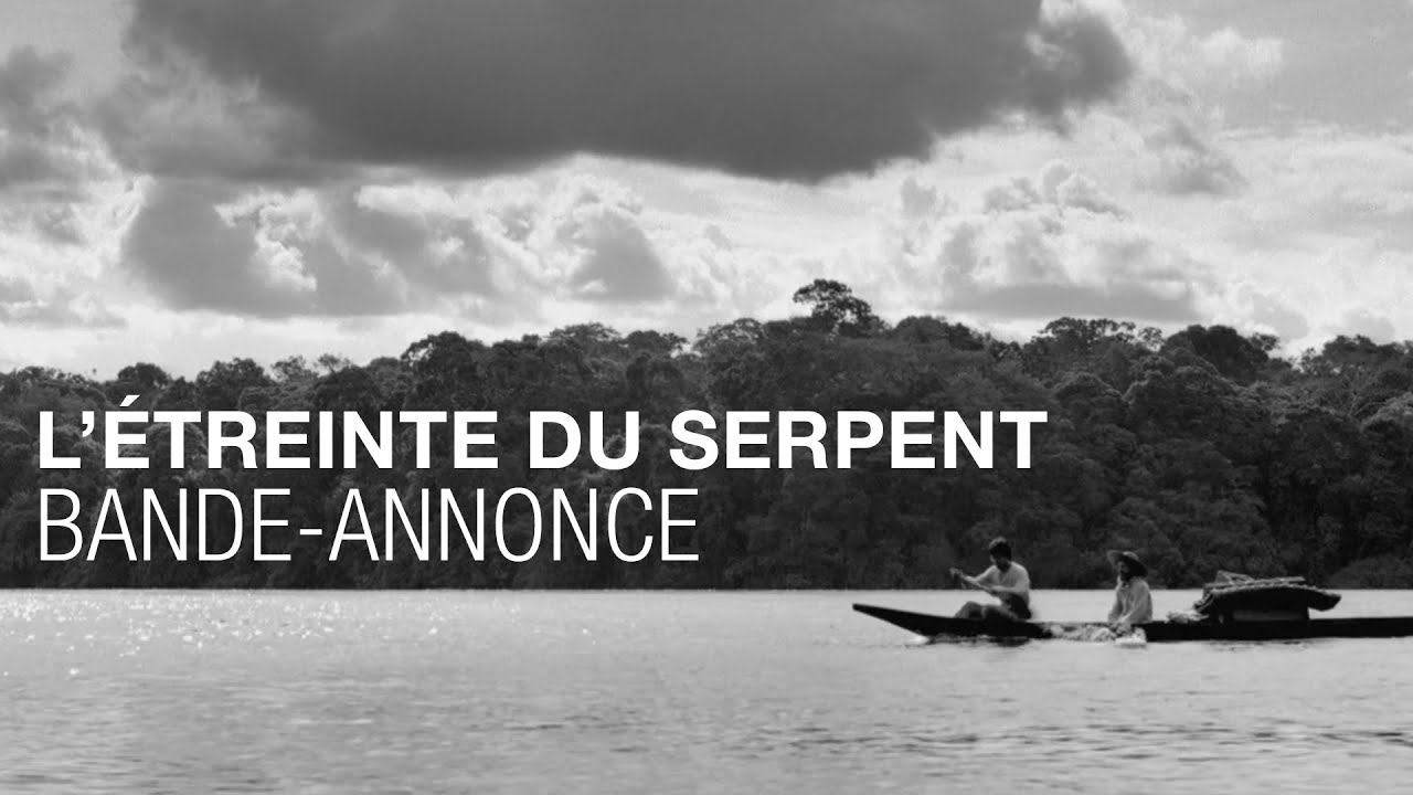 L'ÉTREINTE DU SERPENT - Bande-annonce - YouTube