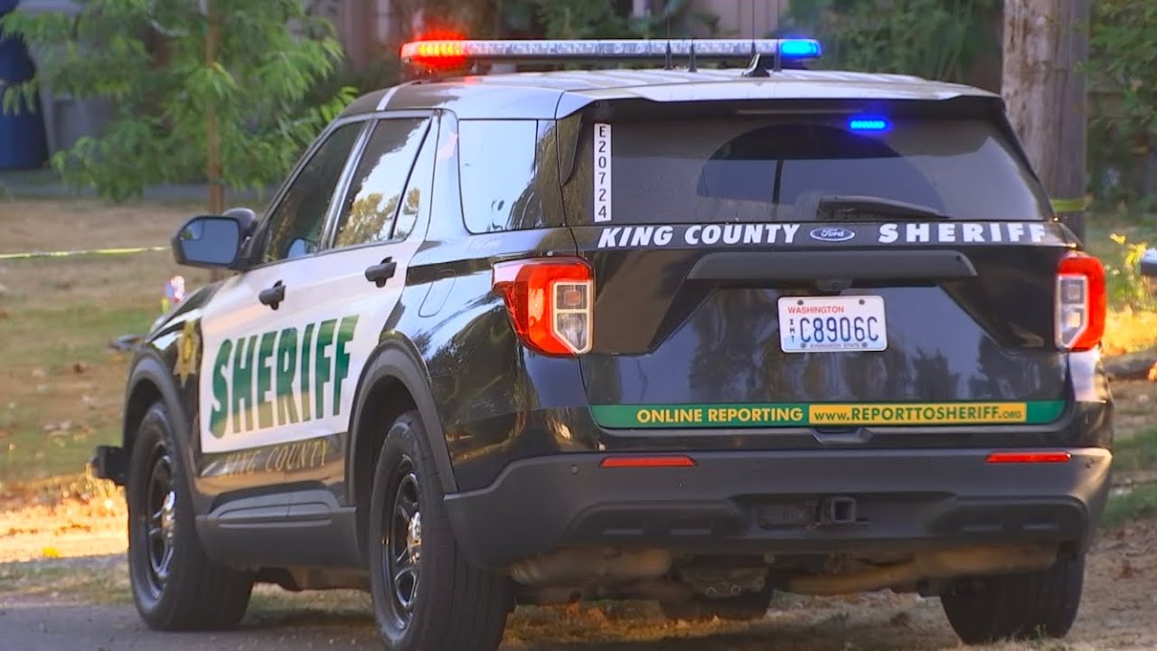 LSPDFR GTA5 I REQUEST I King County Sheriff