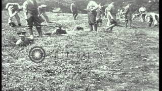 British soldiers dig trenches in France during World War I HD Stock Footage