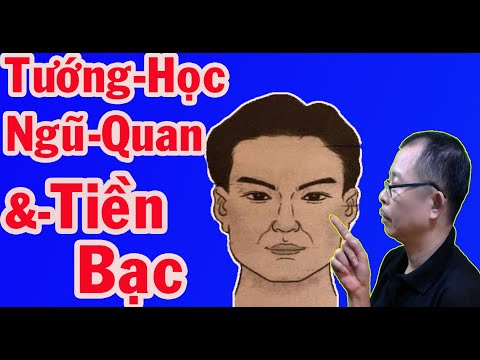 Video: Tử Vi ảnh Hưởng đến Số Mệnh Như Thế Nào