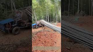 Hauling Giant Stalks: Compact Off-Road Tractors Cut Bamboo Harvest Labor In Mountain Woodlands