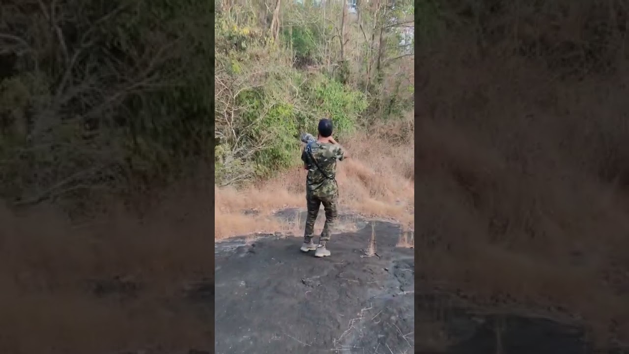 Fairy tales from Thattekkad