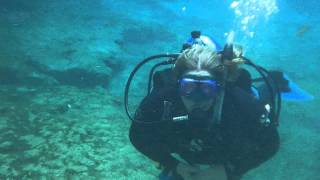 Exit Main Spring - Ginnie