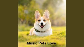 Music To Make Your Pet Go to Sleep