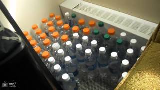 Inside Xp - Immarcwtfs Setup Video Hes Canadian - Way