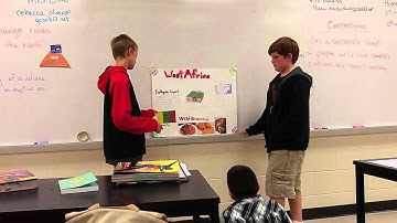 West Africa earthquake myths and statistics