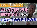 【バラの育て方】夏のバラ管理のコツ♪キレイに秋バラを咲かせよう！その①～お盆から始める仕込み編（2022年8月12日）
