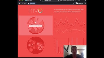 Integrating d3.js with React - Integrating Popular Chart Libraries Built on D3 - Nivo