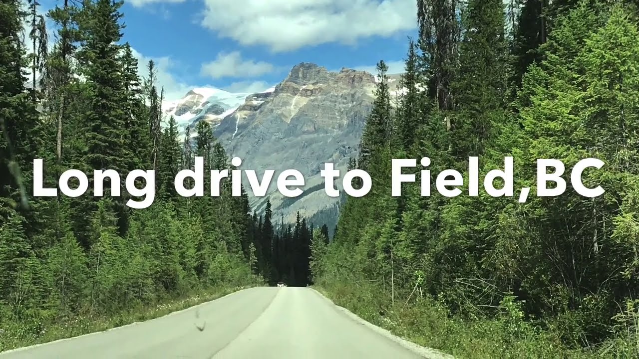 Long drive to Field,BC