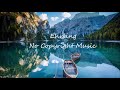 Ehrling - Champagne Ocean  - No Copyright Music