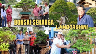 The 5 Most Expensive Bonsai Plants in the World, Priced at Up to IDR 18 Billion