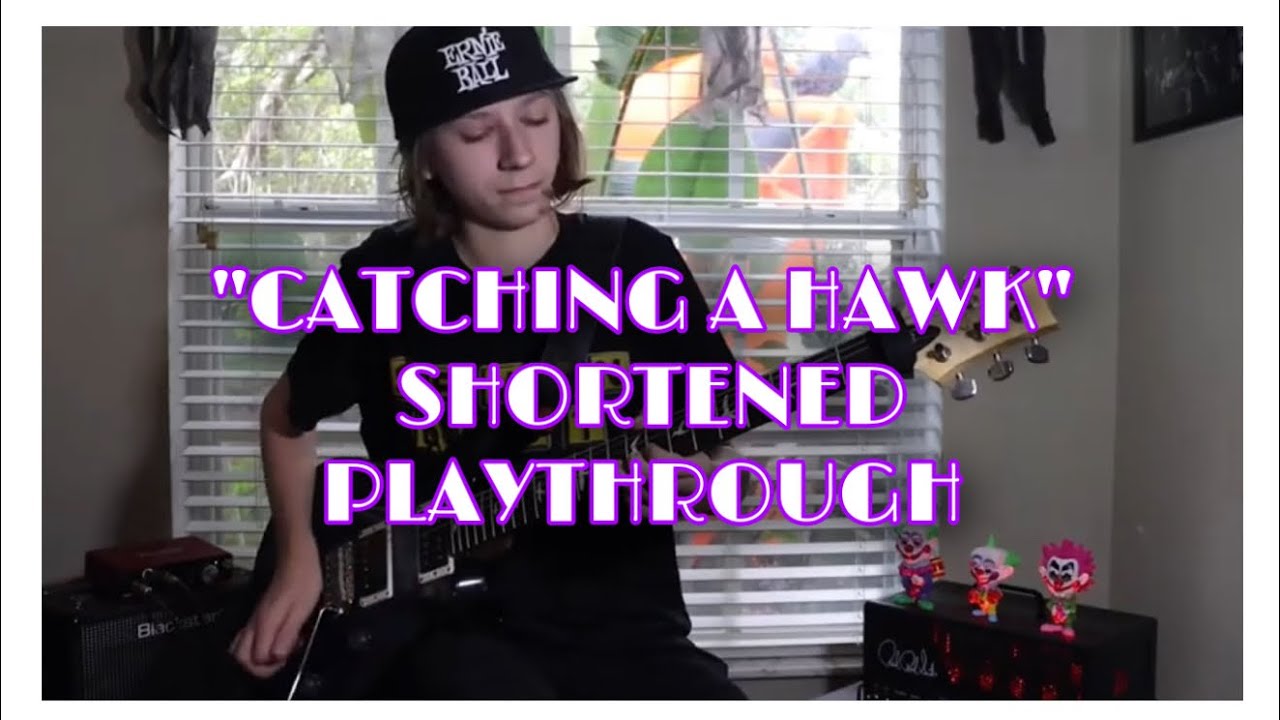 Landon Siebens - Catching a Hawk | Shortened Guitar Playthrough