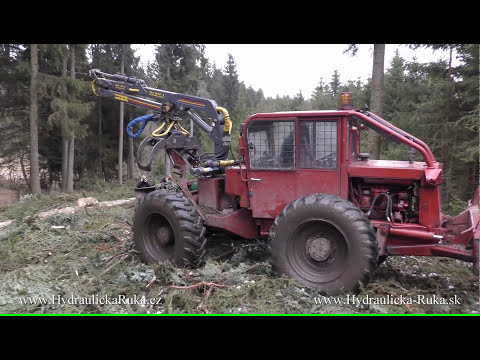 Video: Dlouho Játra, Která Zemřela Z Rukou člověka - Alternativní Pohled