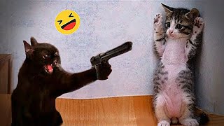 Best Funny Animals 2024Funniest Dogs and Cats‍#2