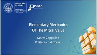 Seminario | Elementary mechanics of the mitral valve - Marta Zoppello screenshot 4