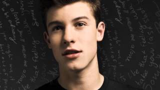 Imagination-Shawn Mendes Ringtone