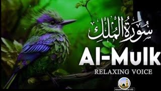 Surah Al-Mulk|Beautiful Quran Recitation for Peace&Night Protection|Soothing Voice(Aaar Al Hudhoudi)