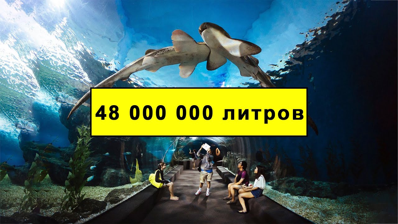 10 САМЫХ БОЛЬШИХ ОКЕАНАРИУМОВ В МИРЕ